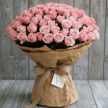 Букет 151 Роза Роуз #REPLACE_PRED# Ставрово