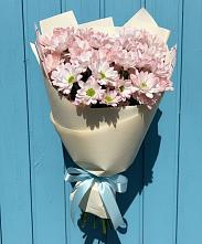 Букет цветов из:  Хризантемы #REPLACE_PRED# Ставрово