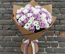 Букет цветов из:  Хризантемы в Ставрово