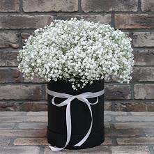 Цветочная композиция из Гипсофила в шляпной коробке в Ставрово