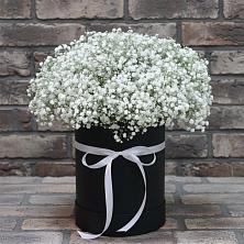 Цветочная композиция из Гипсофила в шляпной коробке в Ставрово