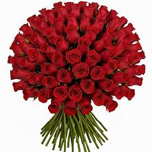 Букет Красные розы Чери Лав в Ставрово