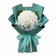 Букет цветов из:  Гортензия в Ставрово